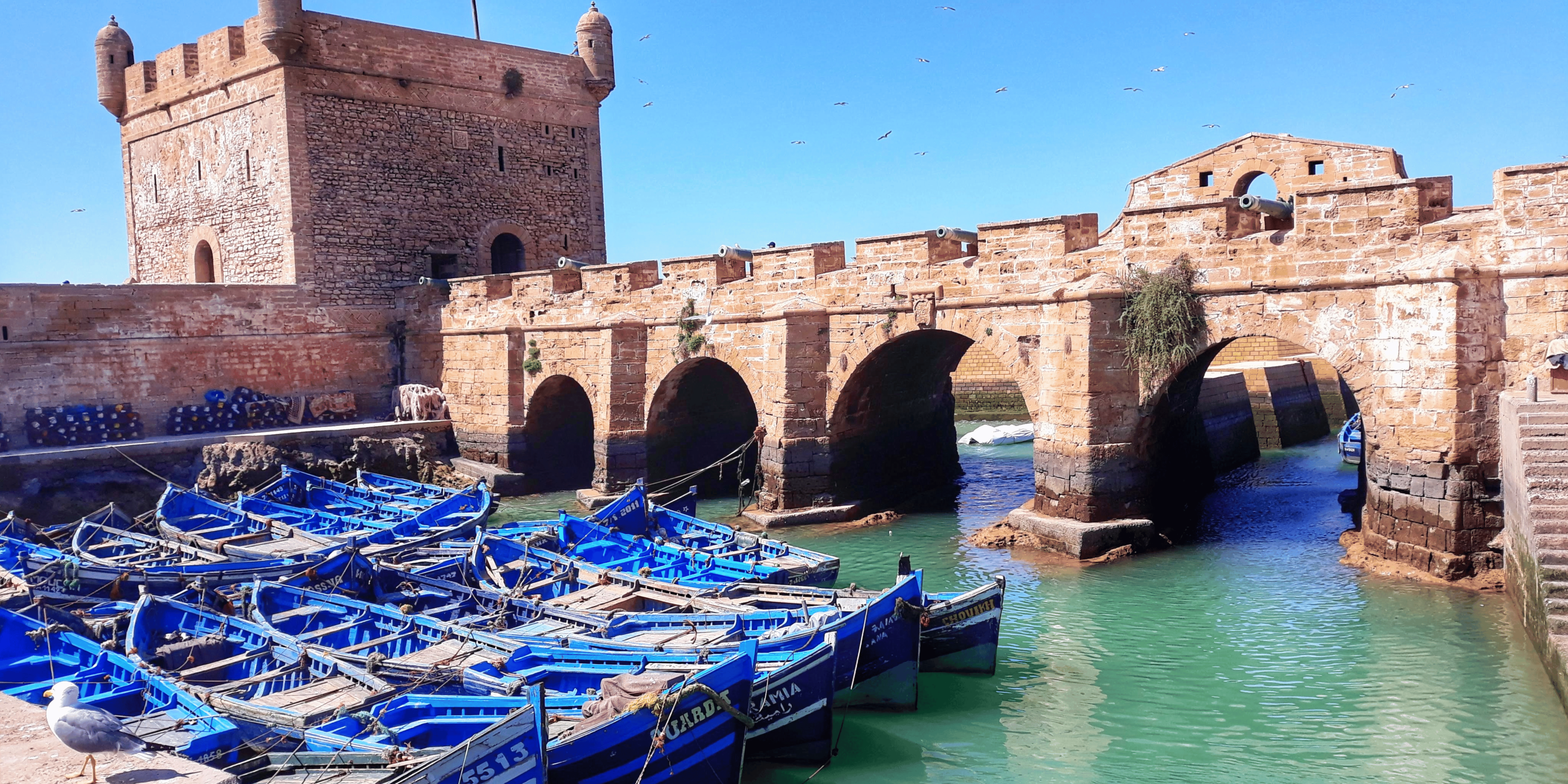 Charming coastal view of Essaouira, featuring its historic ramparts, bustling fishing port, and expansive sandy beaches.